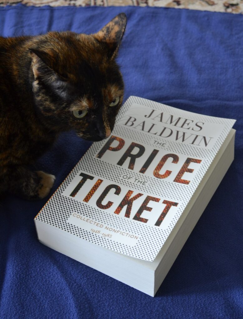 A tortoiseshell cat rests her chin on a white book. The book is The Price of the Ticket by James Baldwin.