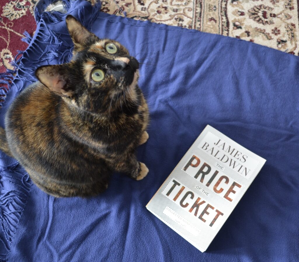 A tortoiseshell cat with yellow-green eyes looks up at the camera. She sits on a blue blanket beside a white book: The Price of the Ticket.