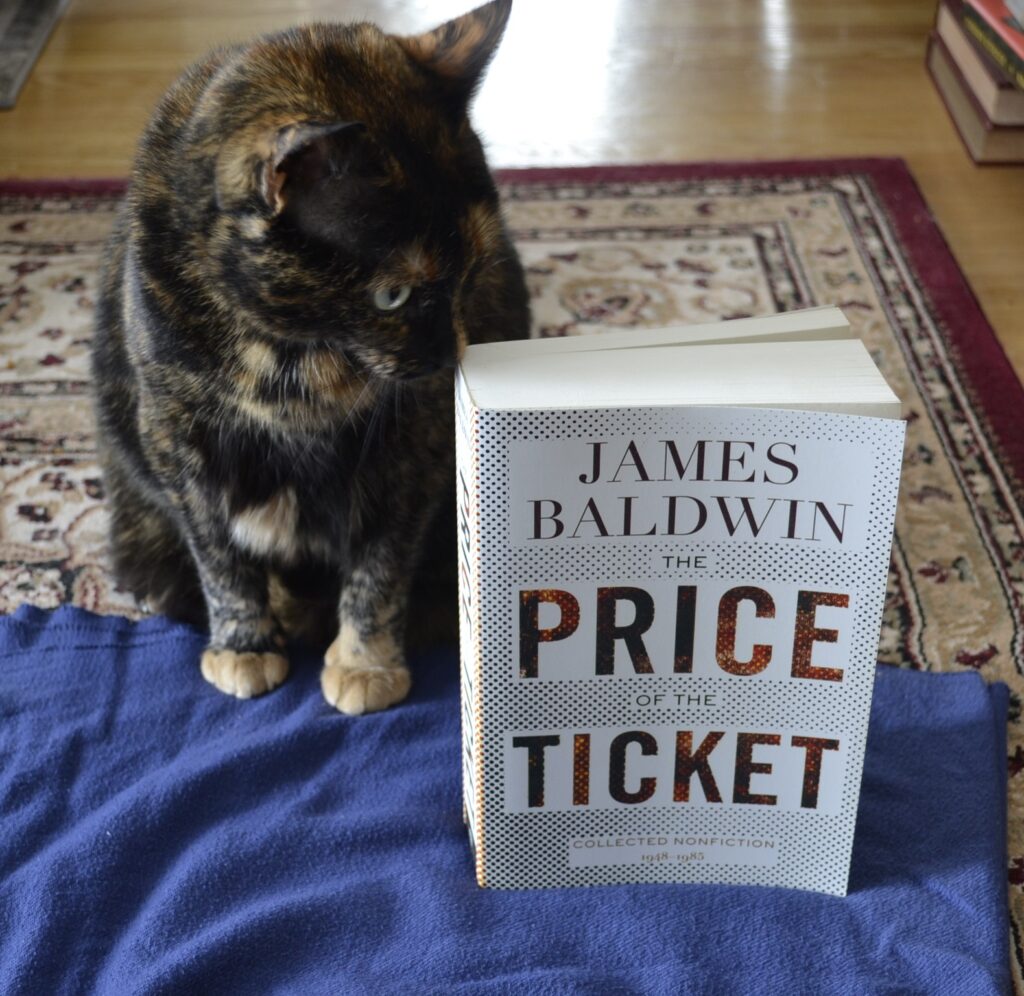 The Price of the Ticket by James Baldwin is a thick paperback book with a white cover with simple text and a dot-fade pattern instead of a picture.