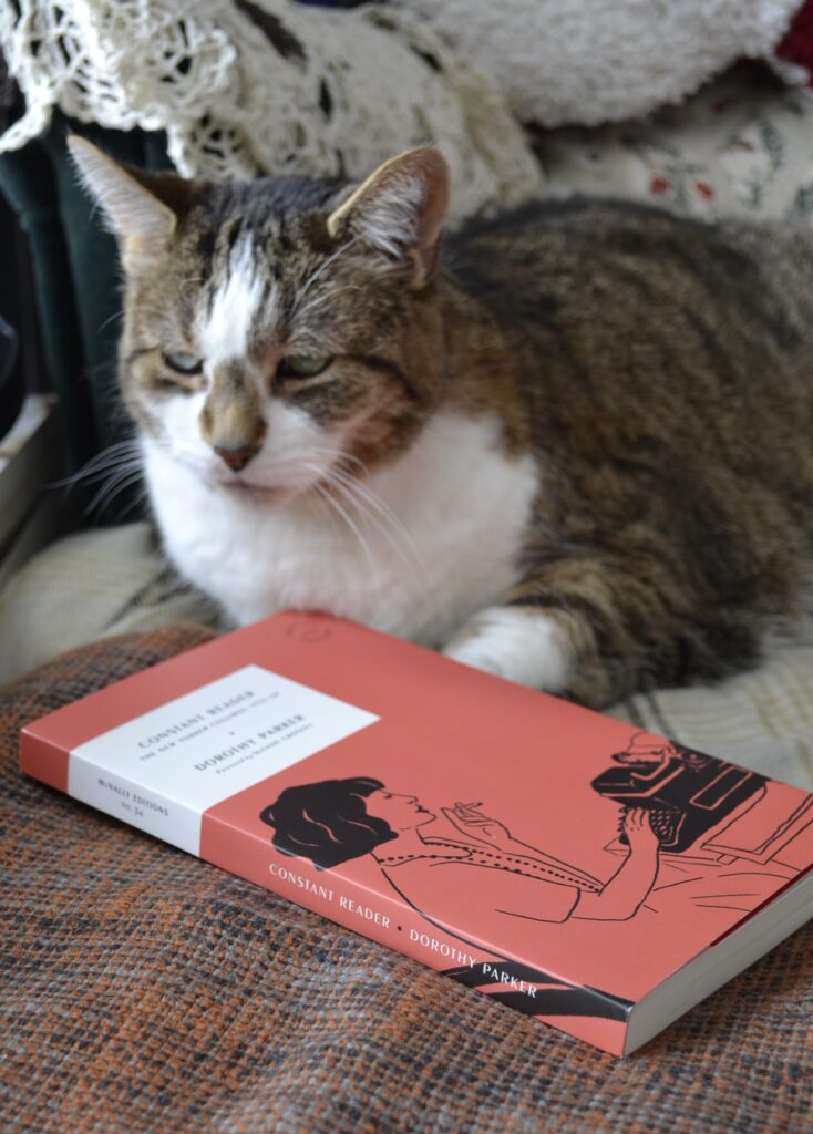 A tabby cat sits behind a copy of The Constant Reader.