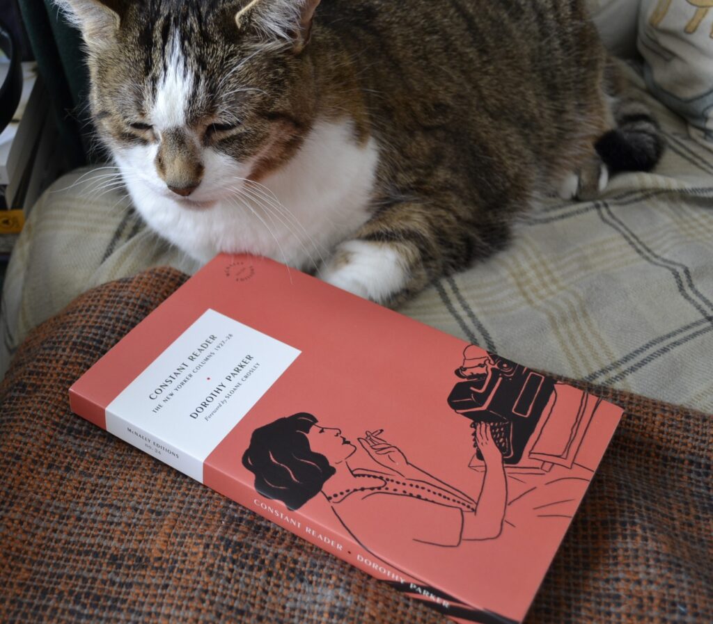 A tabby cat with brown fur sleeps beside a red paperback book.