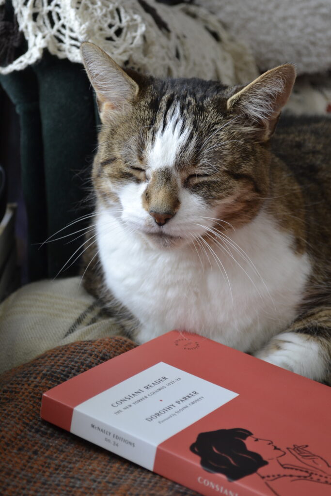 A sleepy tabby cat with big ears and a brown nose closes its eyes happily.