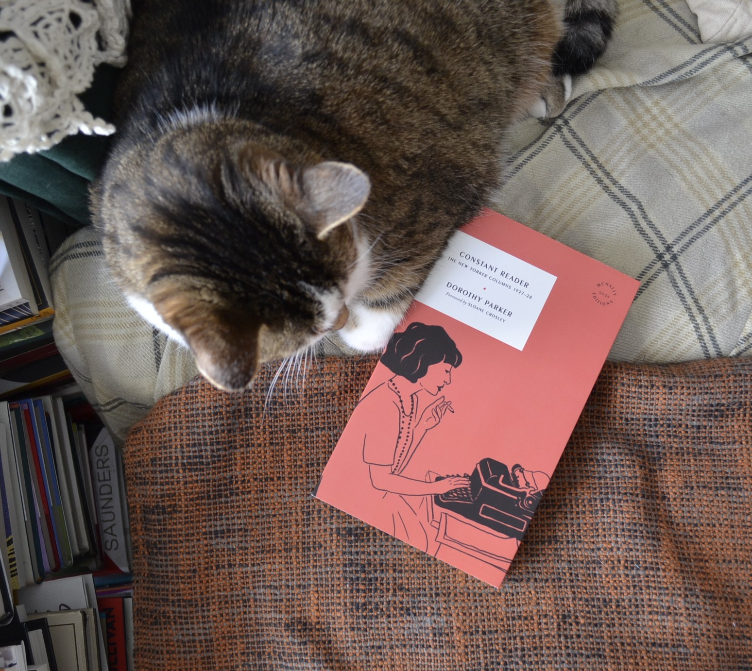 A cat sits on a beige blanket, curled around a red paperback book: The Constant Reader by Dorothy Parker.