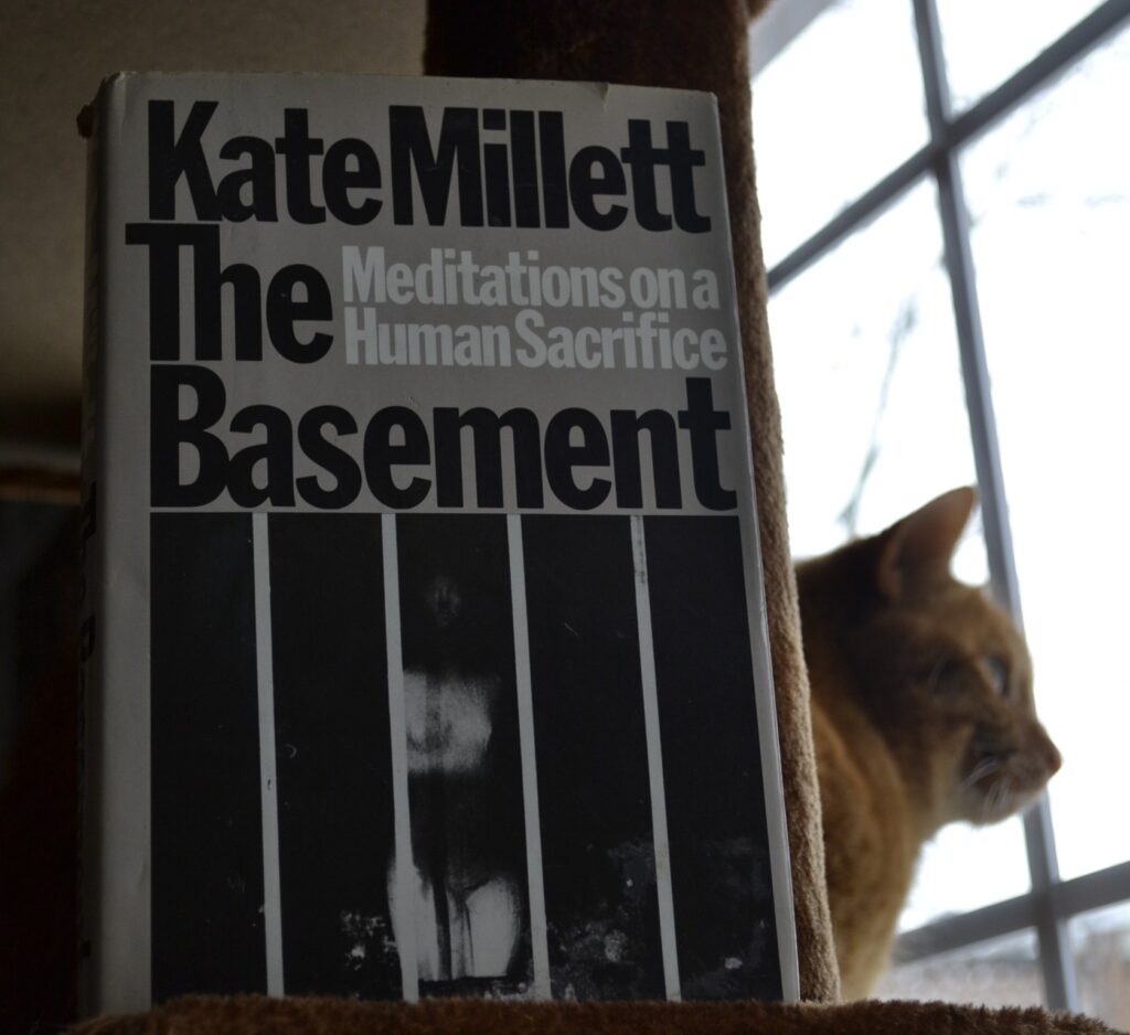 Behind a grey hardcover titled The Basement, an orange tabby looks out a window.