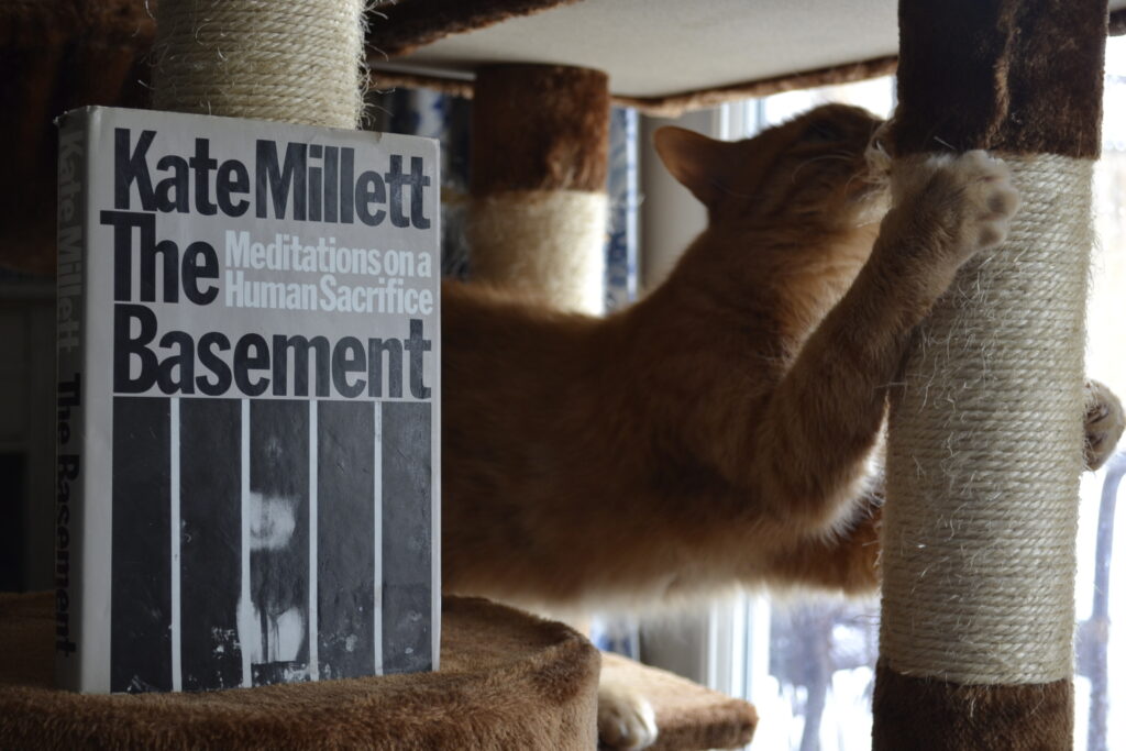 An orange tabby cat stretches to claw a scratching post. A book sits beside her.