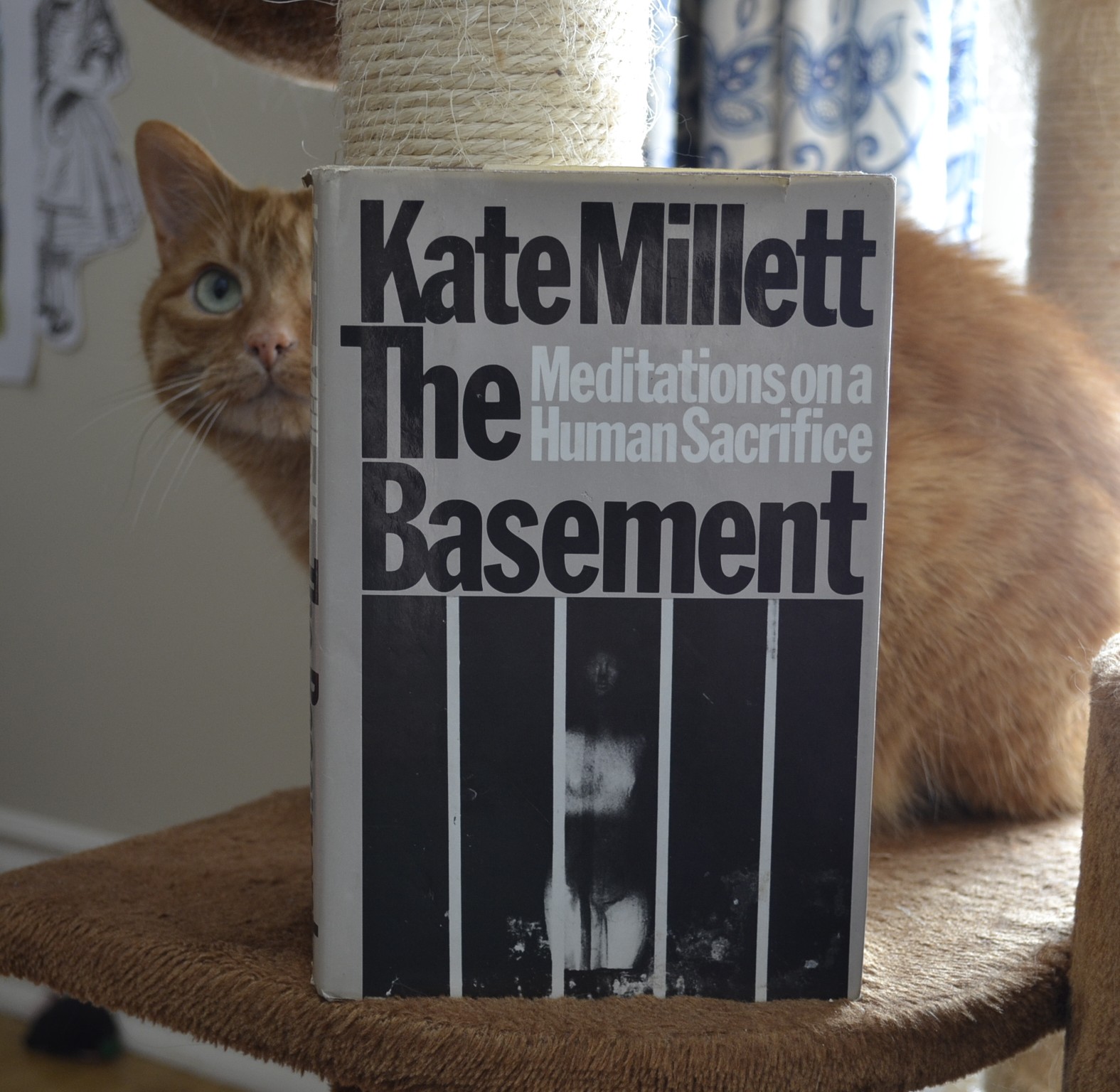 And orange cat sits on a cat tree. In front of her is a copy of Kate Millett's The Basement.