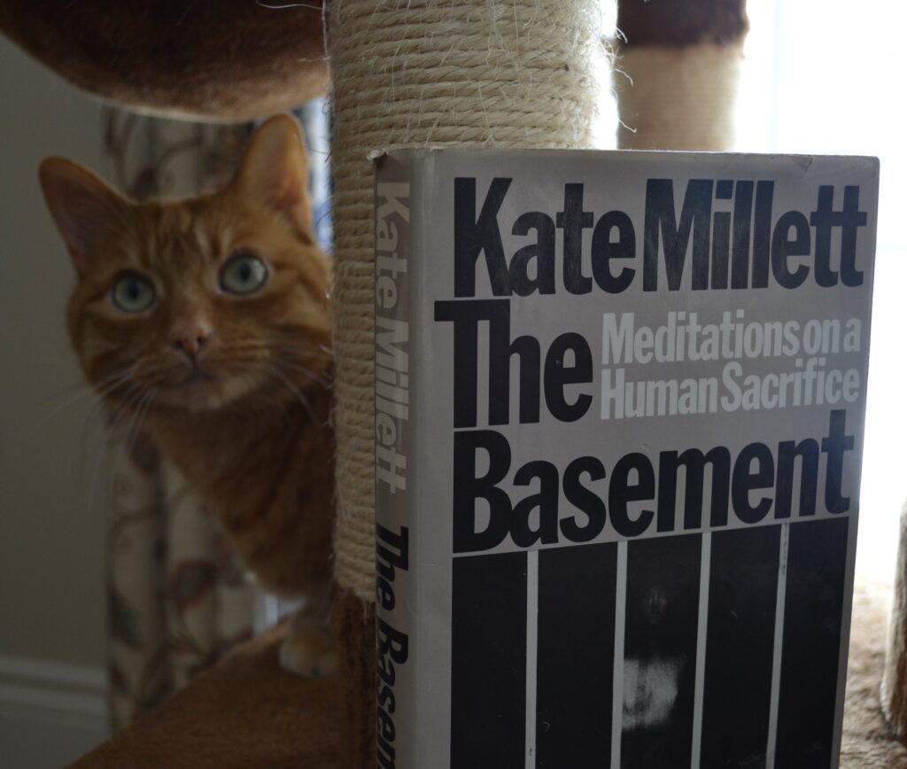 An orange cat looks around a scratching post, her green eyes turned upwards curiously. A grey hardcover leans against the scratching post.