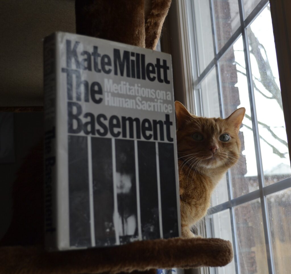 An orange cat peers around the edge of a grey book, The Basement.