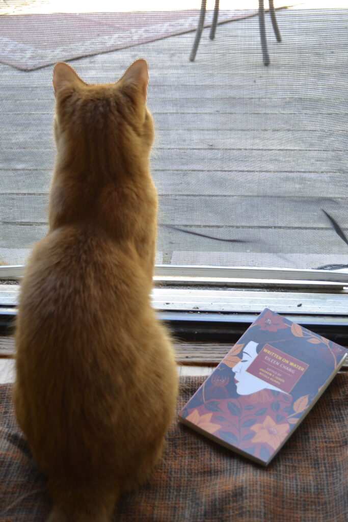 A orange tabby cat sits on an orange blanket beside a book dappled with red and orange flowers.