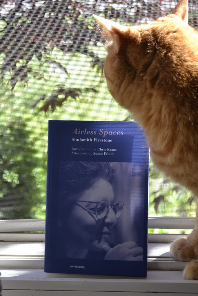Airless Spaces by Shulamith Firestone is a blue paperback book. It sits in a sunny window beside an contented orange tabby.