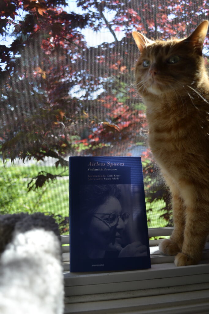 An orange cat sits up straight and looks proud of herself. Beside her is Airless Spaces, a blue paperback book.