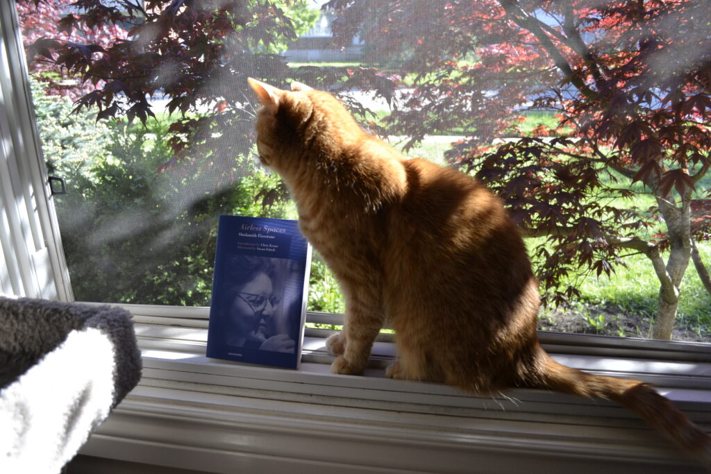 An orange tabby cat crouches on a sunny window ledge beside a paperback copy of Airless Spaces. Out the window a sunny lawn and a lush Japanese maple can be seen.