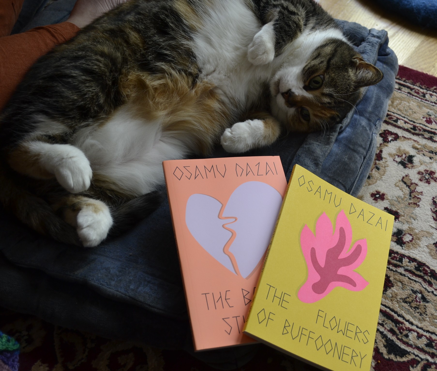 A calico tabby rolls on her back. Beside her are two books by Osamu Dazai: The Beggar Student and The Flowers of Buffoonery.