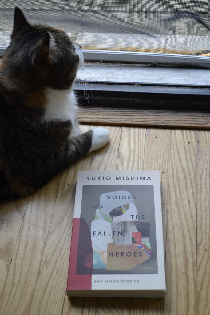 A calico tabby looks through an open screen door with interest. On the floor beside her lays a copy of Voices of the Fallen Heroes.