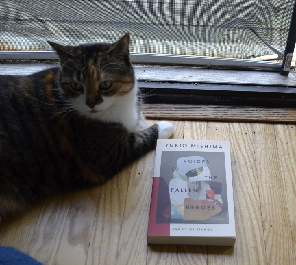 A calico tabby sits with her paws around Voices of the Fallen Heroes.