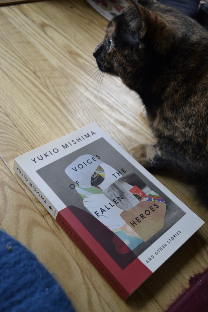 A tortoiseshell cat looks intensely away, lying beside a book. The book is Voices of the Fallen Heroes and Other Stories.