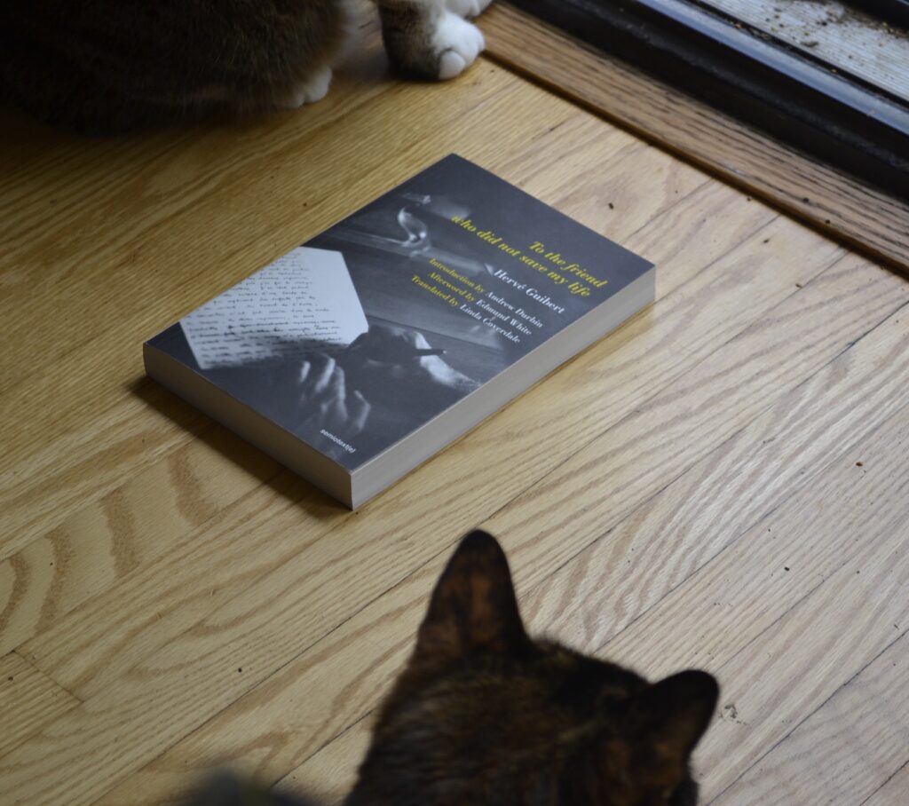 A softcover edition of To the Friend Who Did Not Save My Life lies between two cats who are looking out a screen door.