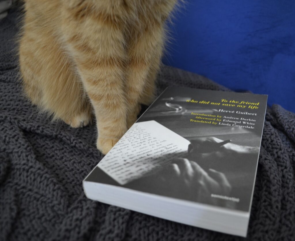 Beside the paws of an orange cat lies a copy of To the Friend Who Did Not Save My Life by Hervé Guibert.