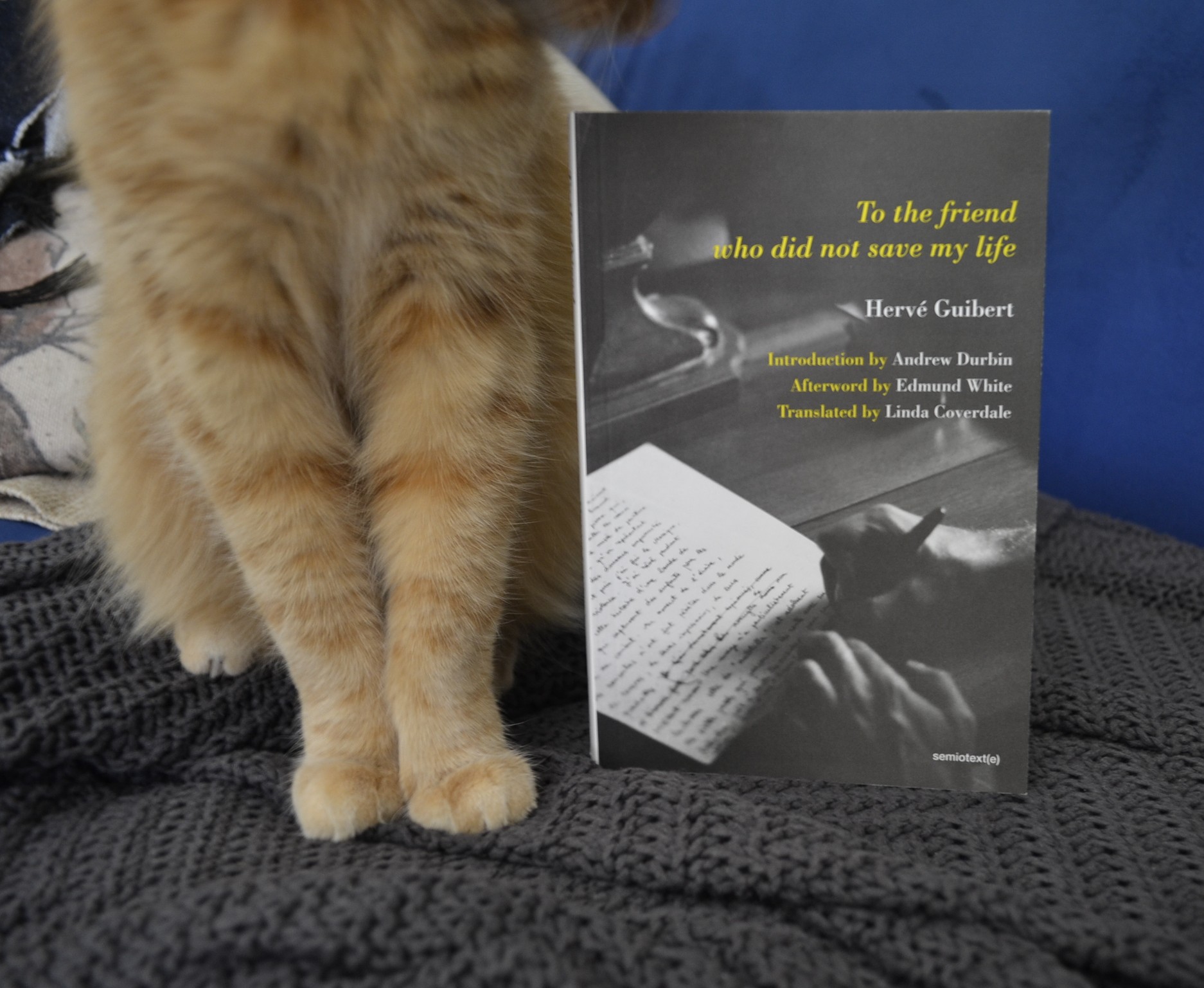 To the Friend Who Did Not Save My Life by Hervé Guibert shows a person writing a letter by hand on the cover.
