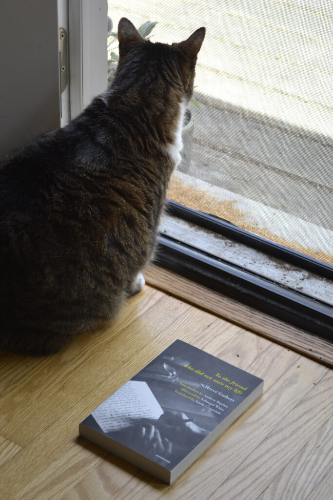 A tabby cat looks out a screen door at a sunny day. On the floor beside her is a black-and-white softcover book.