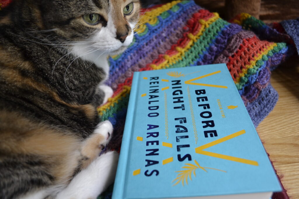 A calico tabby curls beside a bright blue book that rests on a rainbow-striped shawl.