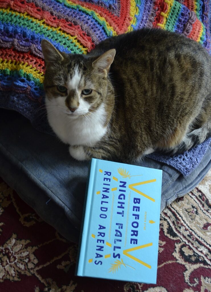 A tabby cat sits happily on a rainbow-striped shawl. Below her is Before Night Falls by Reinaldo Arenas.