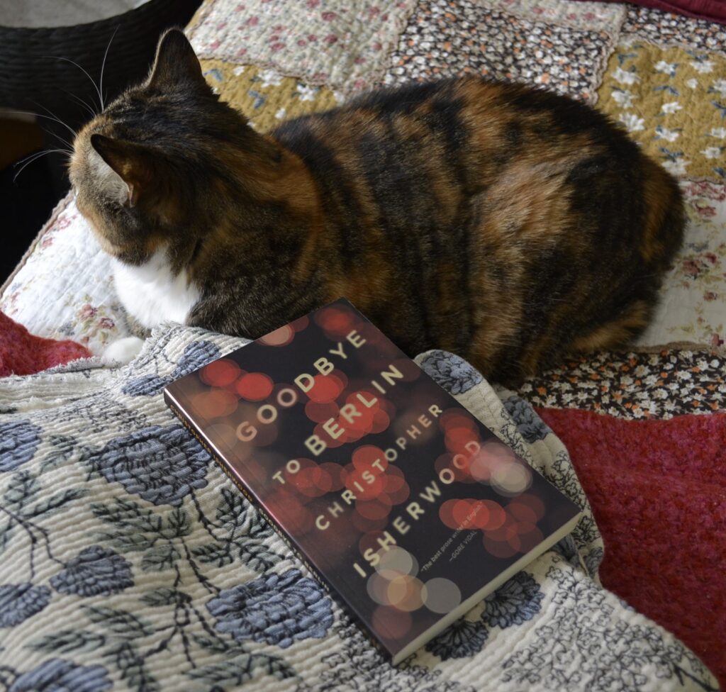 A calico tabby lies on a quilt beside the paperback book Goodbye to Berlin.
