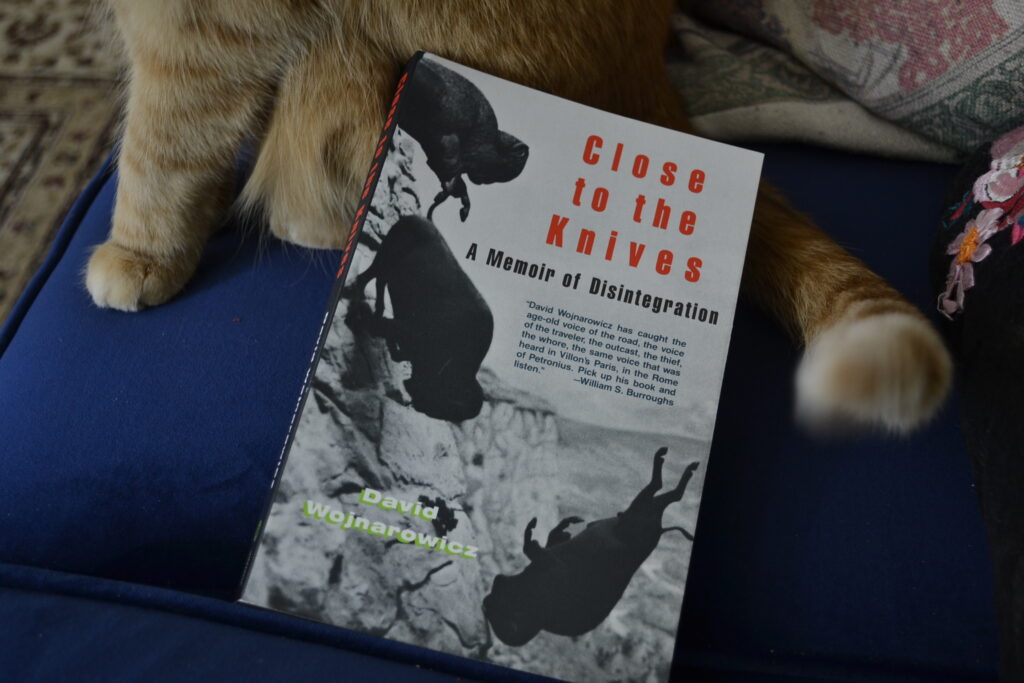 Close to the Knives: A Memoir of Disintegration by David Wojnarowicz features a black-and-white picture of three buffalo falling down a cliff.