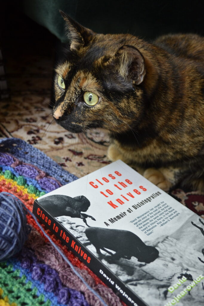 A tortoiseshell cat and close to the knives lie on a rainbow shawl.