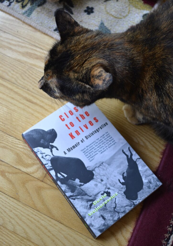 A tortoiseshell cat crouches close to a paperback book.