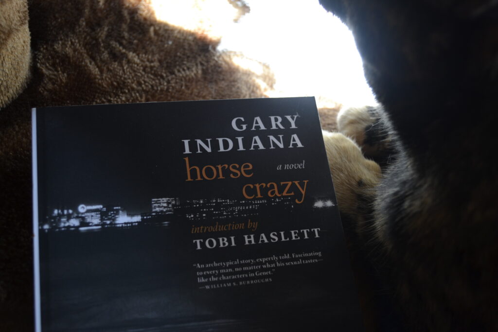 Gary Indiana's Horse Crazy is a black-and-white softcover book. The title is set in orange font.