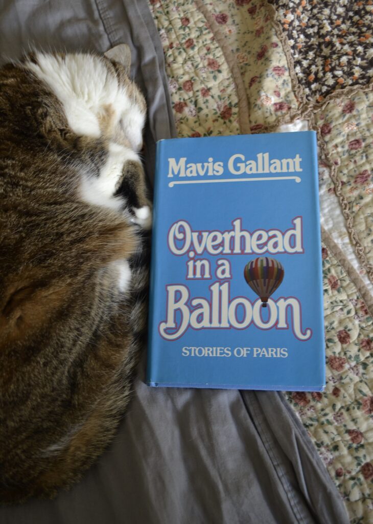 A tabby cat lies curled up beside a copy of Mavis Gallant's Overhead in a Balloon: Stories of Paris.