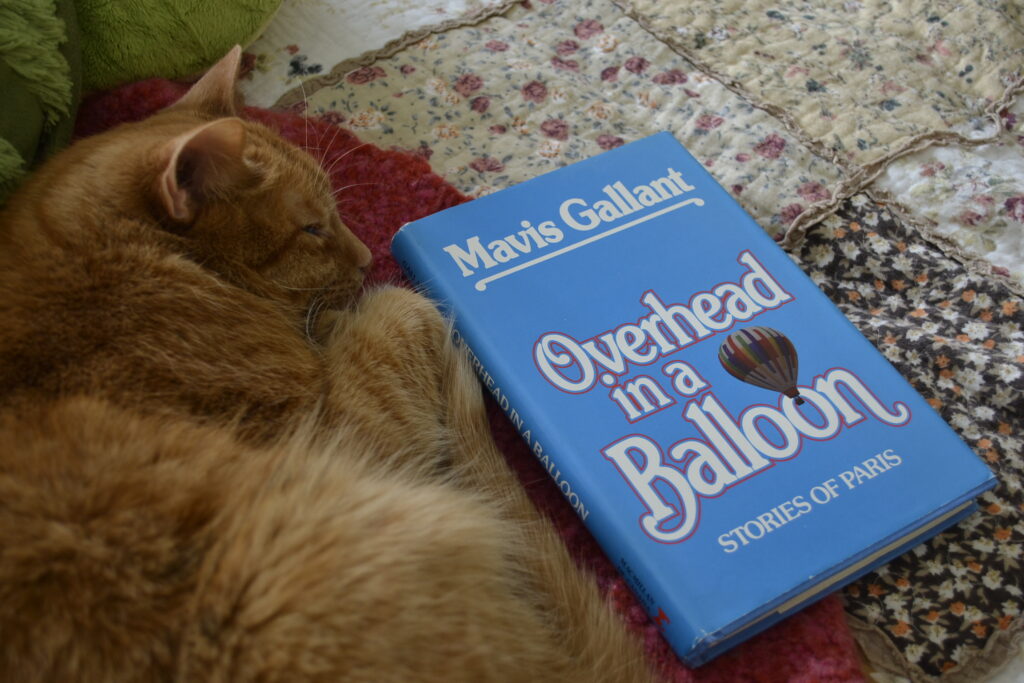 An orange tabby cat curls against a bright blue book, her eyes barely open. The book is Overhead in a Balloon by Mavis Gallant.