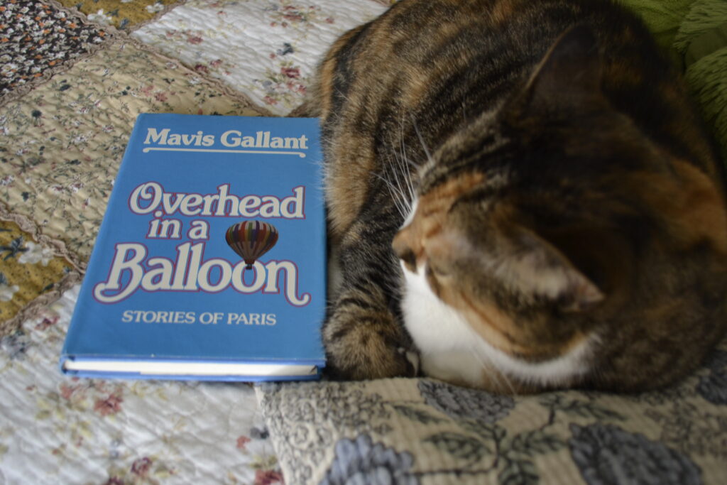A calico tabby lies curled beside a copy of Overhead in a Balloon.
