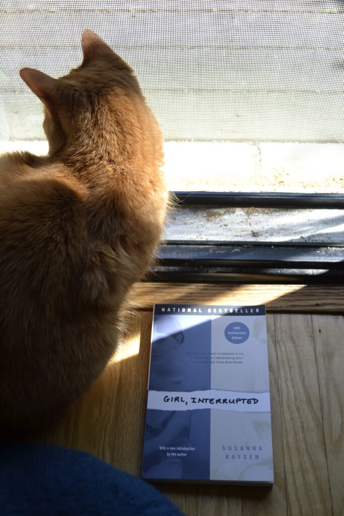 An orange tabby cat looks out a screen door beside a blue and white book.