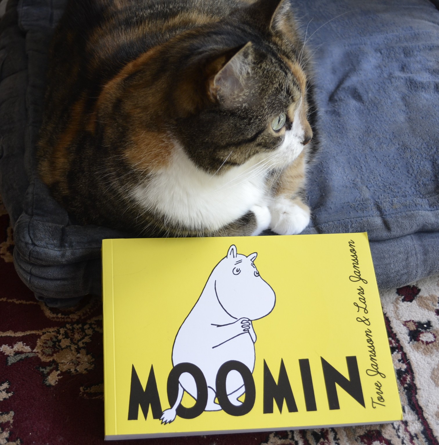 Moomin