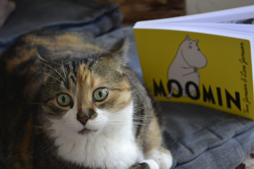 A perturbed calico tabby puts her ears back with her green eyes wide. Behind her is a yellow graphic novel: Moomin.