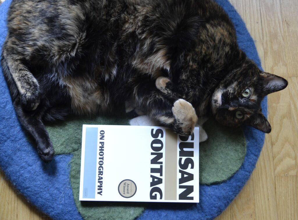 A tortoiseshell cat has rolled onto her back, showing an expanse of black and orange belly. Beside her is a paperback book.