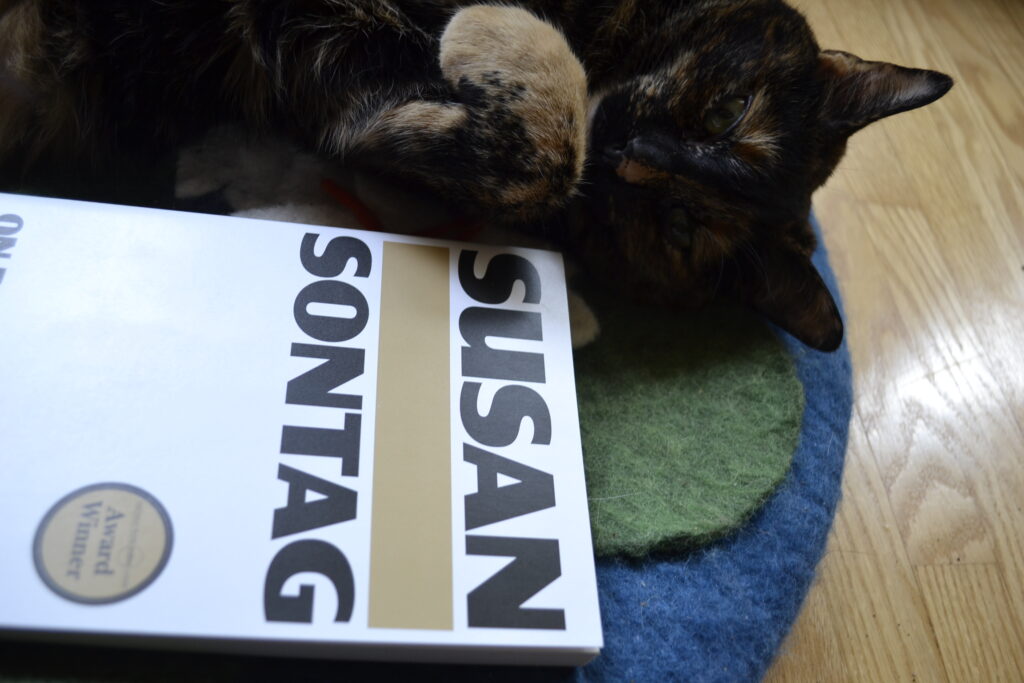 A cat lies sweetly belly-up with curl paws, nestled against Susan Sontag's On Photography.