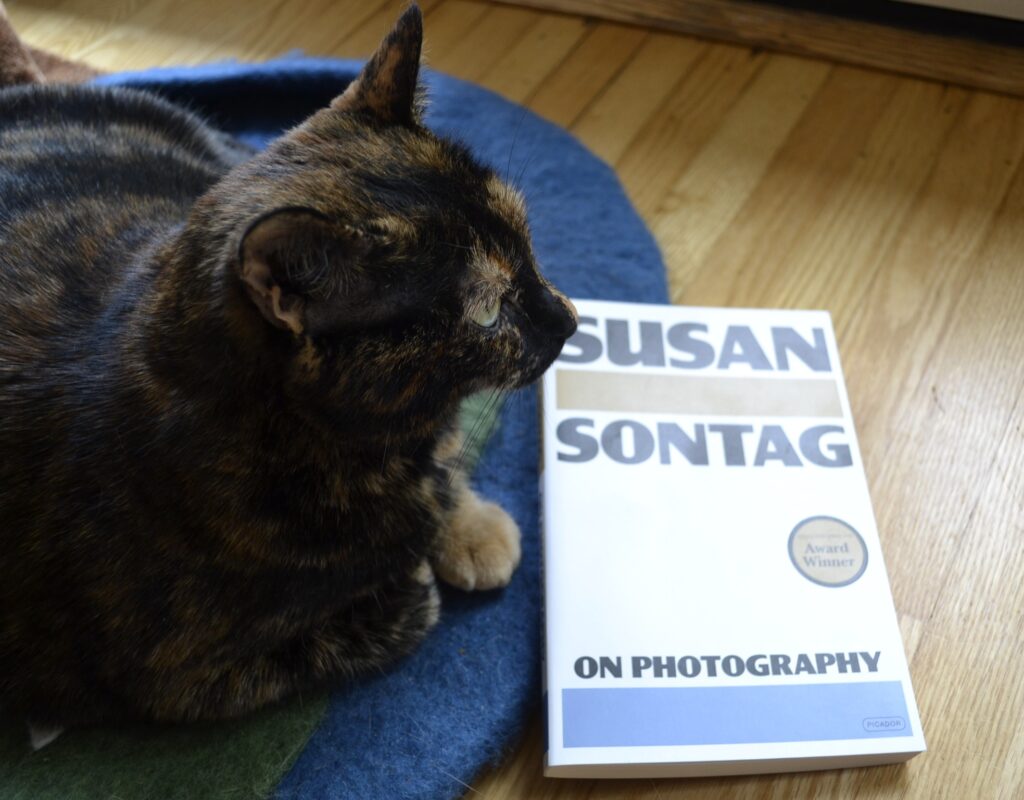 A tortoiseshell cat sits beside a paperback copy of Susan Sontag's On Photography.