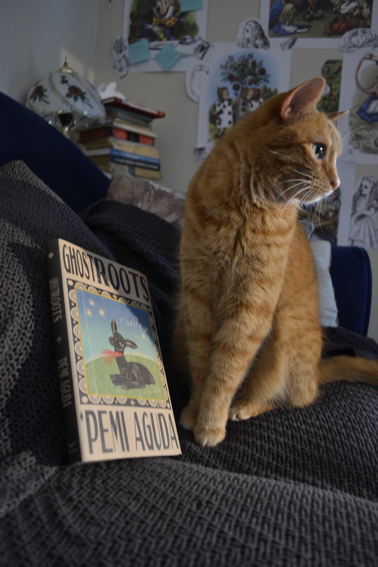 A dramatically lit orange cat sits primly beside a hardcover book with a rustic picture of a slaughtered lamb on the cover.