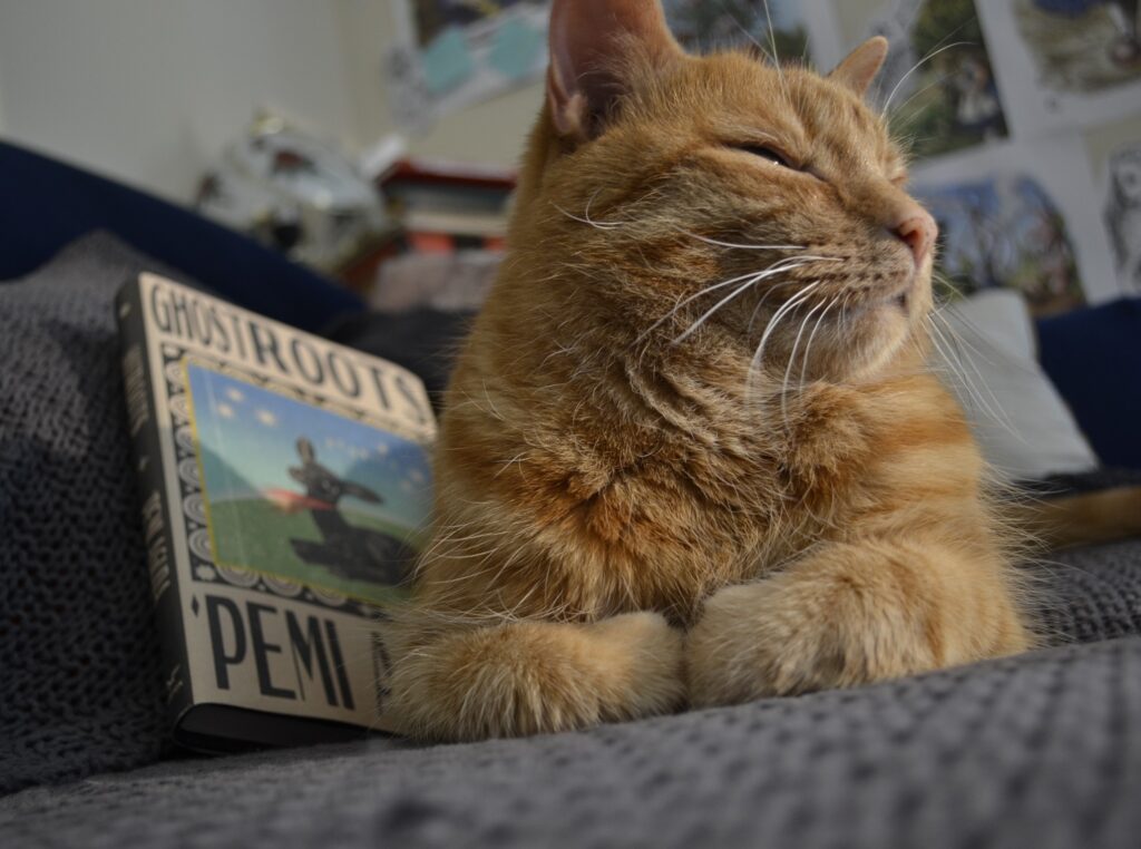 A contended orange tabby sits with her eyes closed and her paws folded. Ghostroots by 'Pemi Aguda is behind her.