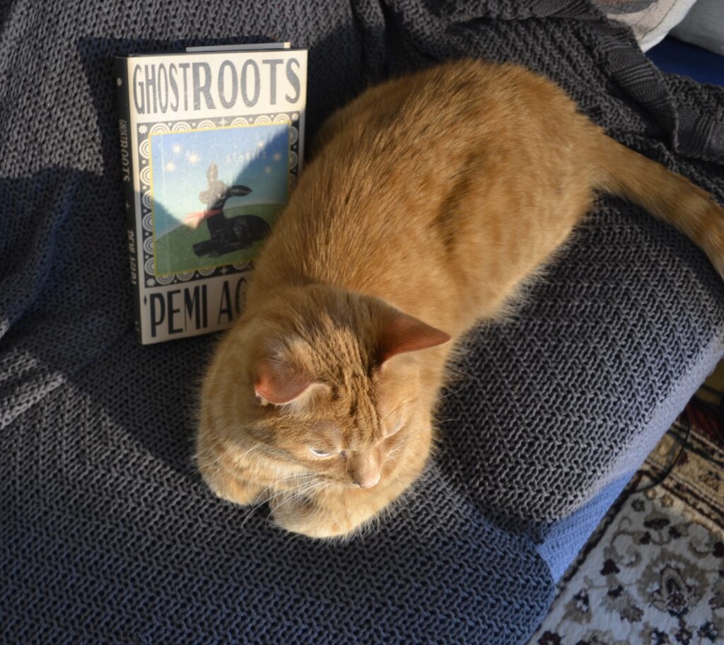 An orange tabby cat lounges in front of a hardcover book titled Ghostroots.