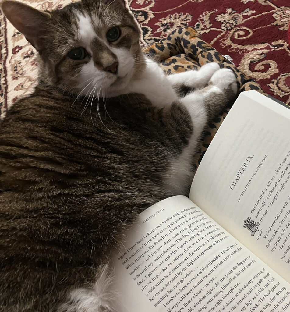 A big-eared tabby cat sits beside an open book. The book is open to Chapter IX. The summary reads 'Of childhood and laudanum' and the chapter begins with an ornate dropped capital M.