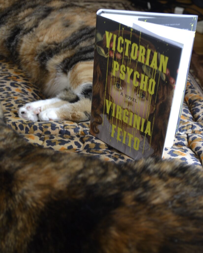Place between two cats, the book Victorian Psycho stands on leopard-print cushions.