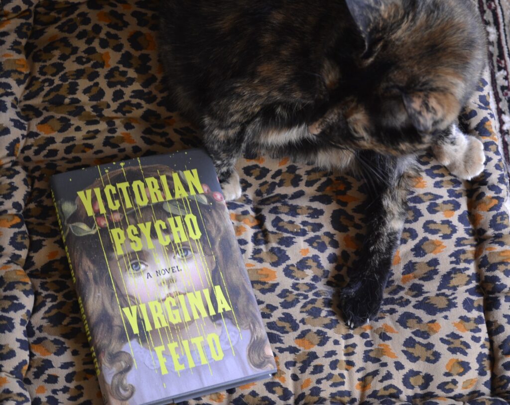 A tortoiseshell cat sits awkwardly on leopard print cushions, looking over its shoulder at the book Victorian Psycho.