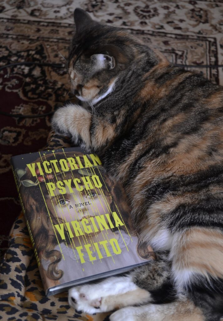 A calico tabby lies with her belly against Victorian Psycho — a small, hardcover book by Virginia Feito.
