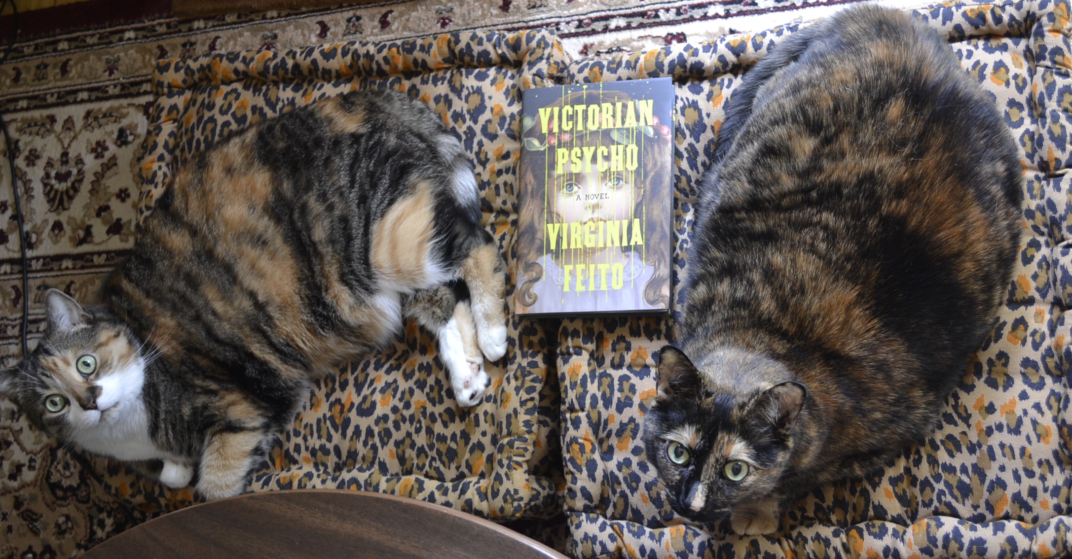 A calico tabby and a tortoiseshell cat lie on leopard print cushions and look curiously upwards. Between them, the book Victorian Psycho sits, with a young girl's face looking outwards from behind yellow, dripping font.
