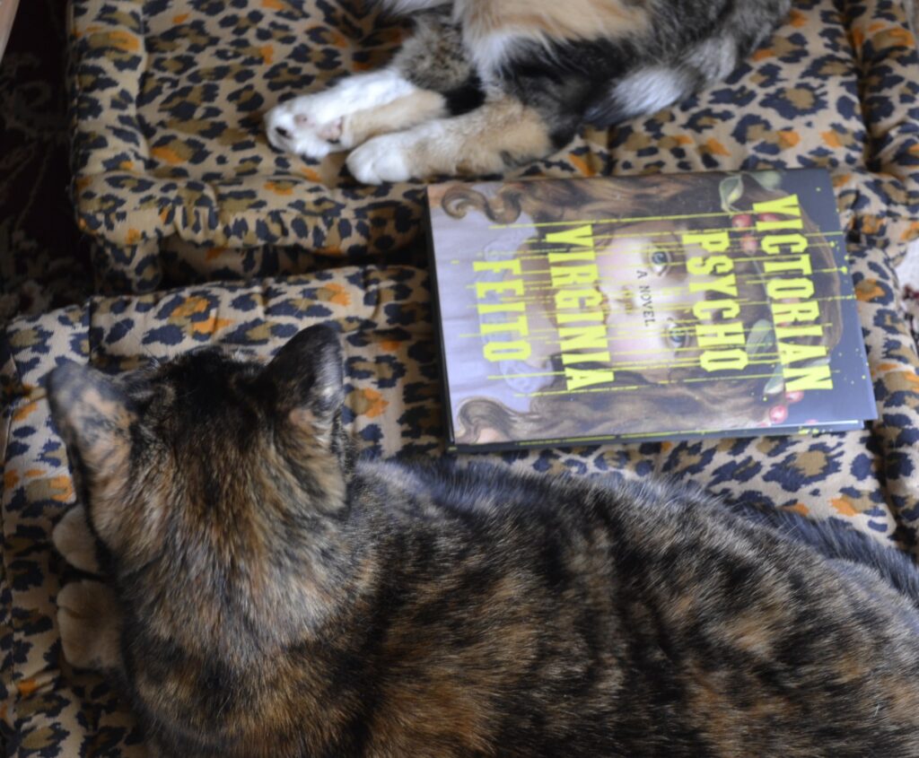 Two cats lie on leopard-print cushions. Between them is a hardcover book, Victorian Psycho.