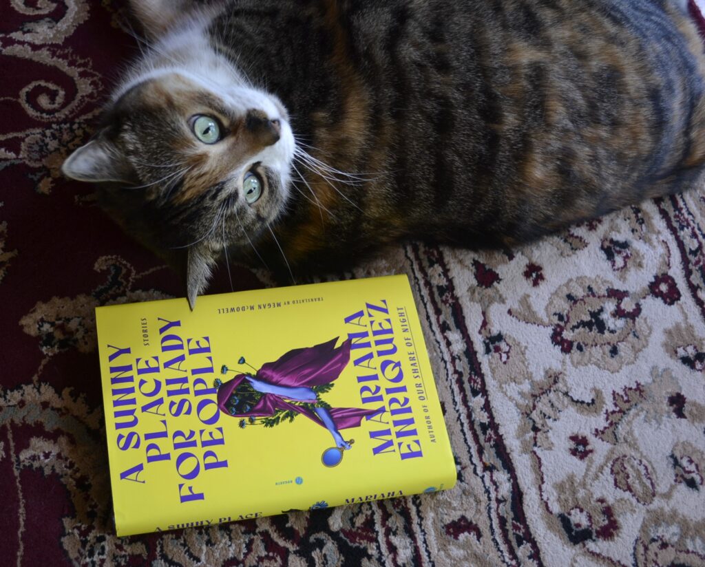 A calico tabby rolls to look over her shoulder with wide green eyes. Beside her is a yellow hardcover book by Mariana Enriquez.
